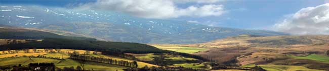 Cheviots